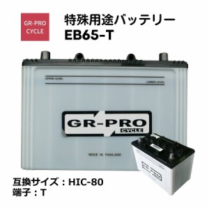 GR-PRO CYCLE 特殊用途バッテリー 交換用バッテリー 高所作業車 スイーパー スクラバー 小型電動車 BROAD EB65 EB65-T 