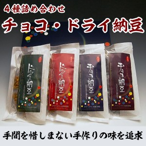 チョコ納豆・ドライ納豆4種詰合せセット グリーンパール納豆本舗 国産 宮城県産 おやつ おつまみ