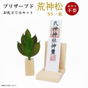 久遠 小 荒神松SS (荒神松SS一束　お札立て、榊立て小セット) 荒神松 三宝松 榊 さかき サカキ 葉 葉っぱ 椿 神具 神棚 神前 お祀り お供