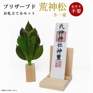 久遠 小 荒神松S (荒神松S一束　お札立て、榊立て小セット) 荒神松 三宝松 榊 さかき サカキ 葉 葉っぱ 椿 神具 神棚 神前 お祀り お供え