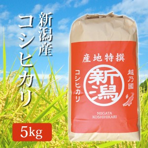 令和5年産 米 玄米 新潟県産コシヒカリ こしひかり 玄米 5Kg (5キロ) 2023年度産 新潟産 コシヒカリ お米