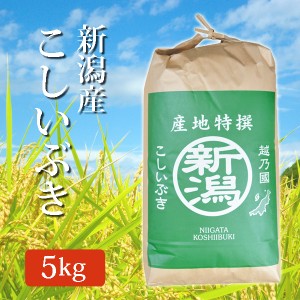 【令和5年産】 新潟県産こしいぶき 玄米 5Kg (5キロ) 2023年度産 玄米 コシイブキ 玄米 新潟産 コシイブキ 代引/同梱不可