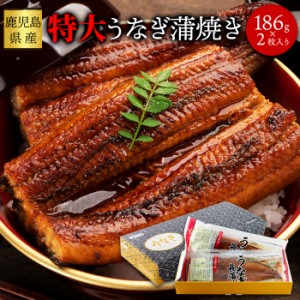 国産特大うなぎ蒲焼き 186g×2袋 鹿児島県産!! こだわりのつまった特大うなぎ蒲焼き!! ふっくらジューシーで食べ応え満点♪ 化粧箱入りで