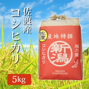 令和5年産 新潟県 佐渡産 コシヒカリ 玄米 5Kg (5キロ) 2023年度産 米 こしひかり 産地直送 国産 ご飯 食品 米 コメ こめ お米 贈答 ギフ