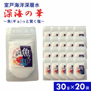 魚塩 30g×20袋 国産 調味料 塩 お塩 しお 食塩 釜焚き 卓上タイプ まろやか しっとり 付け塩 振り塩 焼き魚 かつお 鰹のタタキ 魚料理 