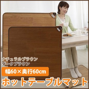 ホットテーブルマット 椙山紡織 60×60cm 正方形 日本製 防水 抗菌 滑り止め加工 ホットマット フローリング調 木目調 拭ける テーブル下