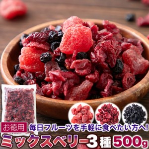 ミックスベリー3種500g ベリーの美味しさがギュッと凝縮！ SM00010880 