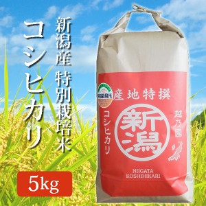 令和5年産 新潟県産 コシヒカリ 玄米 5Kg (5キロ) 特別栽培米 2023年度産 産地直送 国産 米 こしひかり ご飯 食品 米 コメ こめ お米 贈