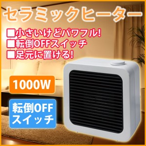 ミニセラミックファンヒーター 小型 ヒーター 暖房 TEKNOS テクノス TS-101S デスク下や足元に 1000W/700W