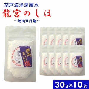 焼肉天日塩 30g×10袋 国産 深層水天日塩 天日 大きな結晶粒 ガツンとした塩味 甘味残る 調味料 塩 お塩 しお 食塩 焼肉 焼き魚 お吸い物