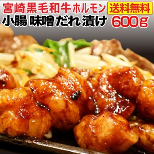 黒毛和牛 ホルモン 焼肉 小腸 味噌だれ漬け 600g 宮崎県産 送料無料 BBQ おつまみ おかず クール便