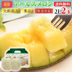 父の日 遅れてごめんね ギフト アールスメロン 秀品 ２L/２玉 熊本県産 温室 送料無料 高級メロン  甘い フルーツの里 産地直送 S常