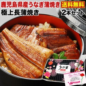 母の日 プレゼント 母の日ギフト うなぎ 蒲焼き  国産 鹿児島産 送料無料 長焼き2本セット 約110g×2 クール