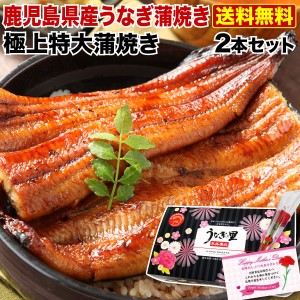 ポイント10％ 母の日 遅れてごめんね プレゼント グルメ ギフト うなぎ 蒲焼き  国産 鹿児島産 送料無料 特大蒲焼き2本セット 約200g×2 