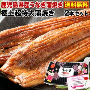 ポイント10％ 母の日 遅れてごめんね プレゼント グルメ ギフト うなぎ 蒲焼き  国産 鹿児島産 送料無料 超特大蒲焼2本セット 約220g×2 