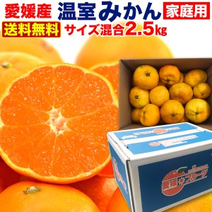 ハウスみかん ご家庭用 愛媛 JAえひめ中央限定 約2.5kg(15〜25玉) 産地直送 極甘 フルーツ 冷蔵便 Y蔵