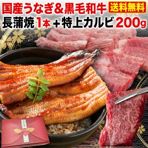 ポイント10％還元 父の日 プレゼント 食べ物 国産うなぎ＆黒毛和牛 豪華Aセット(長蒲焼＆特上カルビ) 長蒲焼 (106g〜116g) x1本＆特上カ