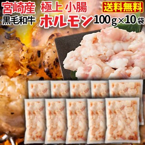 ホルモン 牛 博多 和牛小腸 九州産黒毛和牛 1kg (100g x10袋) コプチャン モツ鍋 焼肉 炭火焼き クール