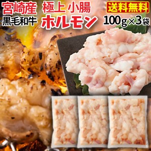 ホルモン 牛 博多 和牛小腸 九州産黒毛和牛 300g(100g x3袋) コプチャン モツ鍋 焼肉 炭火焼き クール