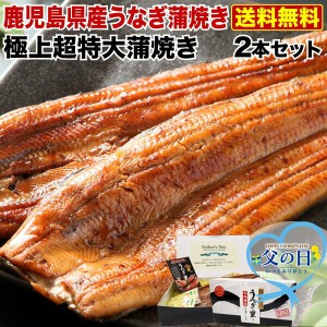 ポイント10％ 父の日 プレゼント ギフト うなぎ 食べ物 グルメ 蒲焼き 国内産 送料無料 超特大蒲焼き 2本セット 鹿児島産 海鮮  タレ山椒