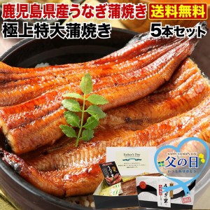 ポイント10％ 父の日 プレゼント ギフト うなぎ 食べ物 グルメ  蒲焼き 国産 送料無料 鹿児島産 特大蒲焼 5本 ギフトBOX特典付き 送料無