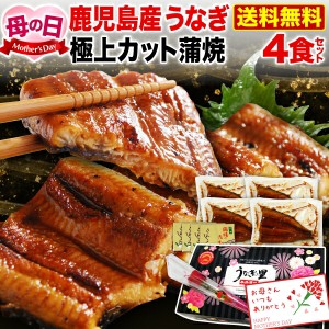 ポイント5％ 母の日 プレゼント 母の日ギフト 遅れてごめんね うなぎ 蒲焼き 国内産 送料無料 極上カット蒲焼き 50g x 4食セット 真空パ