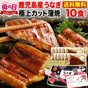 ポイント10％ 母の日 プレゼント 母の日ギフト 遅れてごめんね うなぎ 蒲焼き 国内産 送料無料 極上カット蒲焼き 50g x 10食セット 真空