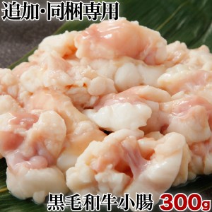 宮崎県産黒毛和牛 小腸　300g コプチャン ホルモン 単品 同梱専用 クール