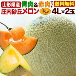 早期予約 お中元 ギフト 果物 フルーツ メロン 山形県産　庄内砂丘メロン　秀品4L×2玉青肉・赤肉セット(約3kg)　アンデスメロン グレー