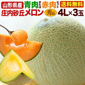 早期予約 お中元 ギフト 果物 フルーツ メロン 山形県産　庄内砂丘メロン　秀品4L×3玉(約4.5kg) 青肉/赤肉からご選択　アンデスメロン 