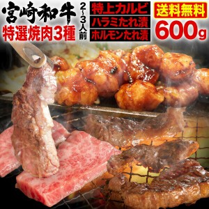 宮崎和牛 黒毛和牛 特選焼肉3種食べ比べセット 600g(約2〜3人前) 特上カルビ ハラミ もみダレ ホルモン 味噌だれ漬け 送料無料 冷凍 クー