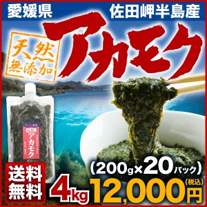 愛媛県佐田岬半島産 アカモク(200g x 20パック) 天然 無添加 栄養満点 産地直送 送料無料！Y凍