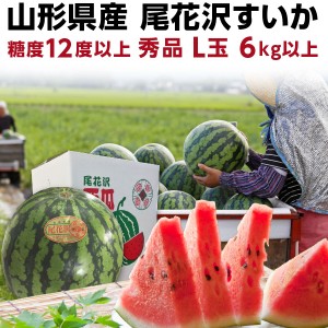 早期予約 お中元 果物 スイカ ギフト 尾花沢すいか 秀品 L玉 6kg以上 Y常