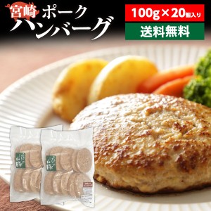 ハンバーグ 送料無料 宮崎ポークハンバーグ 宮崎ポーク100% 100g×20個 宮崎県産 送料無料 贈答品 クール