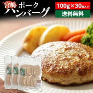 ハンバーグ 送料無料 宮崎ポークハンバーグ 宮崎ポーク100% 100g×30個 宮崎県産 送料無料 贈答品 クール