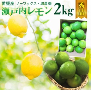 レモン 愛媛 瀬戸内レモン 2kg(17玉前後) 産地直送 ノーワックス・減農薬 秀品 J常