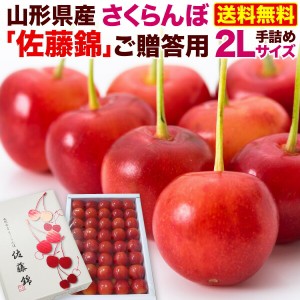 予約商品 山形県産 佐藤錦 秀品 2Lサイズ500g さくらんぼ 贈答用 手詰め化粧箱入り 朝摘み お取り寄せ 産地直送 送料無料 冷蔵クール便 Y