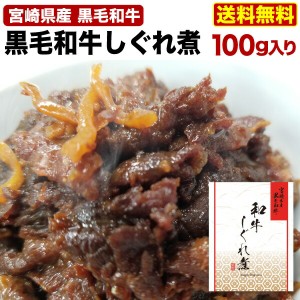 宮崎県産 黒毛和牛しぐれ煮 1袋100g ごはんのお供 メール便 送料無料