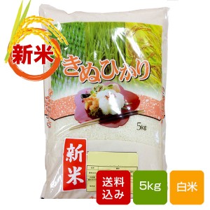 熊本キヌヒカリ 新米 5kg 白米 熊本県産 令和3年産 