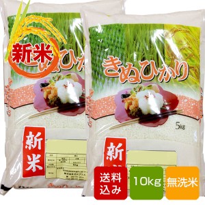 熊本キヌヒカリ 無洗米 10kg 熊本県産 令和3年産