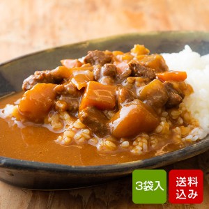 宮崎県産牛100％ ビーフカレー 200g×3食 国産 レトルト カレー 常温保存