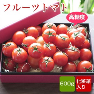 フルーツトマト 高糖度 600g 化粧箱入  九州産 クール便