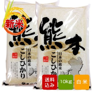 熊本コシヒカリ 新米 10kg 白米 熊本県産 令和4年産