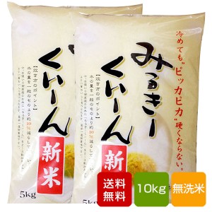 ミルキークイーン 無洗米  10kg 熊本県産 令和4年産  米 こめ コメ