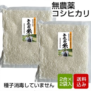 米 お試しセット 無農薬コシヒカリ 2合×2袋 白米 コメ 米 福岡県産 令和4年産