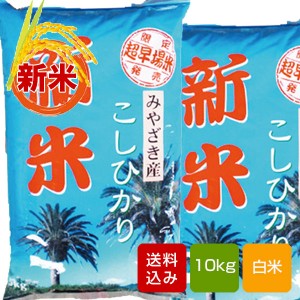 宮崎コシヒカリ 白米 10kg 2023年産新米 コメ 米 こめ