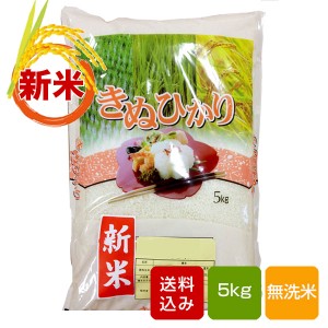 熊本キヌヒカリ 無洗米 5kg 熊本県産  令和4年産 
