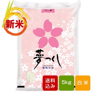 夢つくし 白米 5kg 福岡県産 2023年産新米 コメ 米 こめ