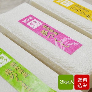 無洗米 真空 3kg 一等米 防災食 九州産