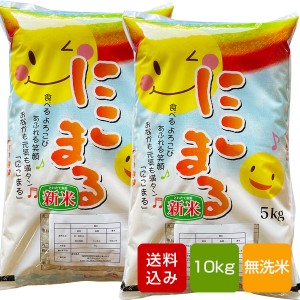 【新米】にこまる 無洗米 10kg 熊本県産 令和5年産 ご予約品